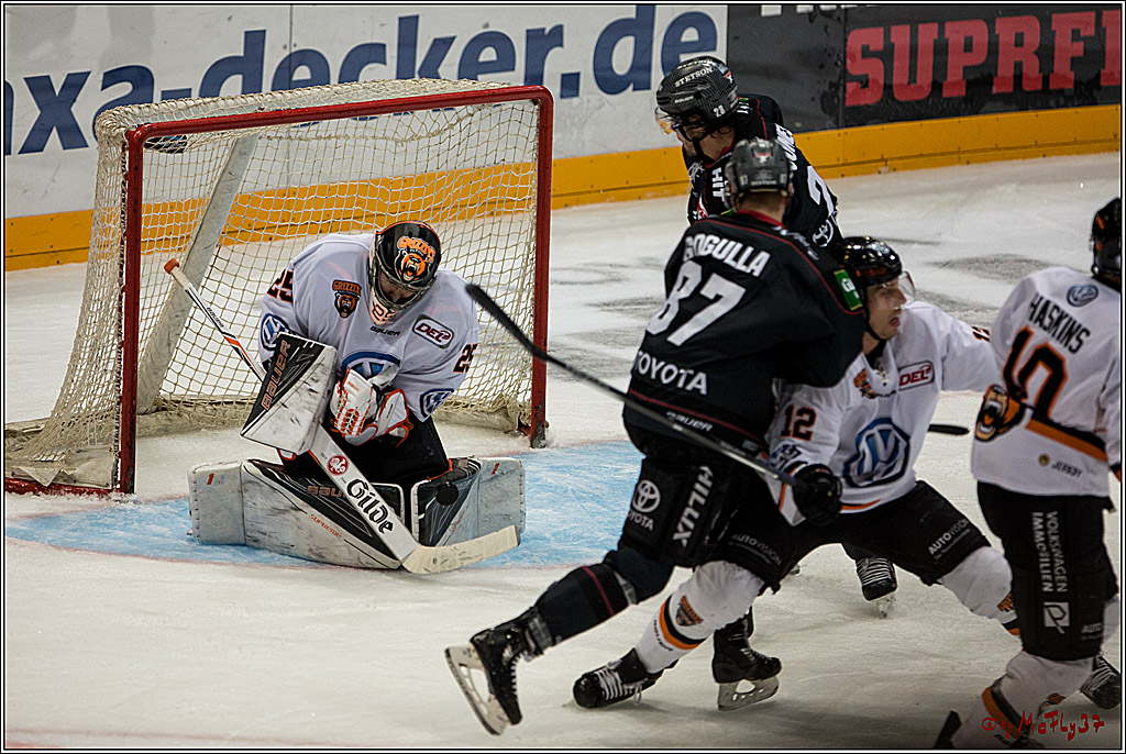 Koelner Haie - Grizzlys Wolfsburg, 16.10.2016, 16.10.2016